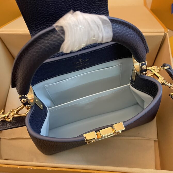 Louis Vuitton Capucine Handbag