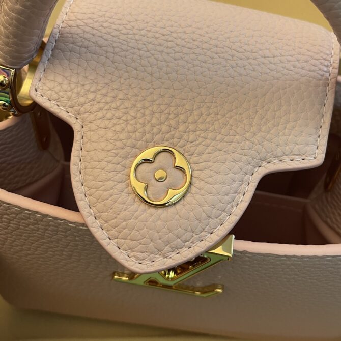 Louis Vuitton Capucine Handbag