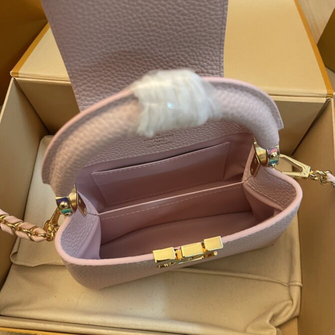 Louis Vuitton Capucine Handbag