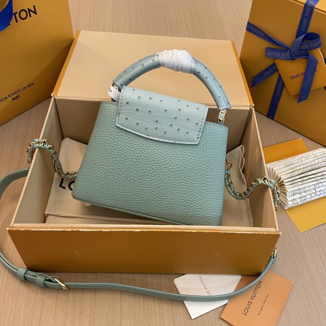 Louis Vuitton Capucine Handbag