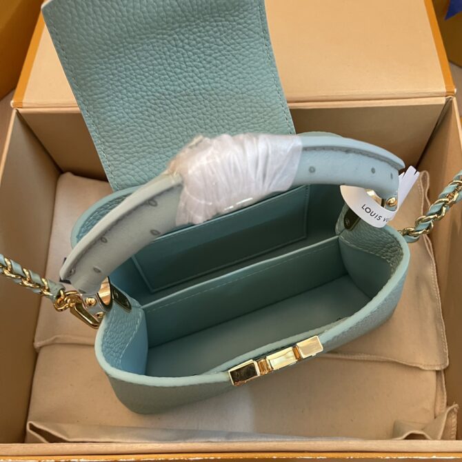 Louis Vuitton Capucine Handbag