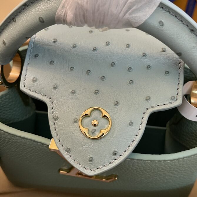 Louis Vuitton Capucine Handbag