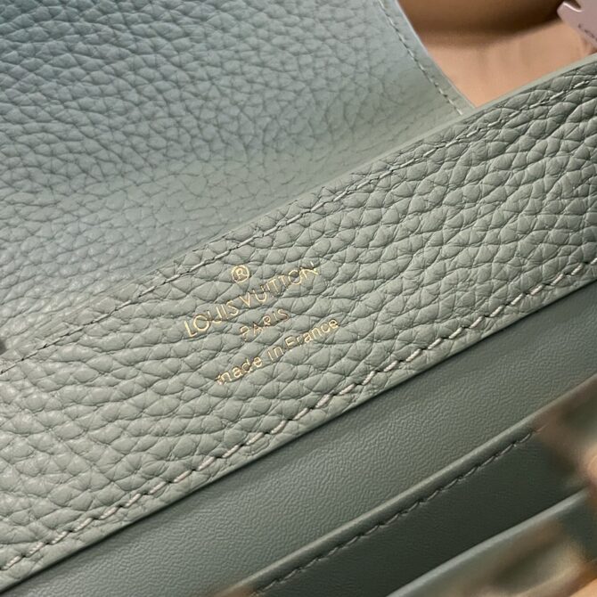 Louis Vuitton Capucine Handbag