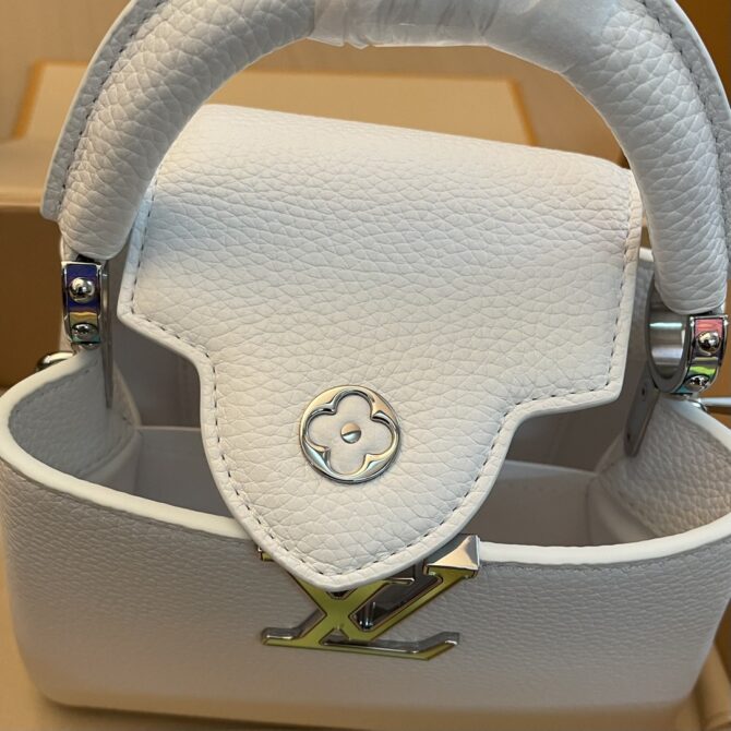Louis Vuitton Capucine Handbag