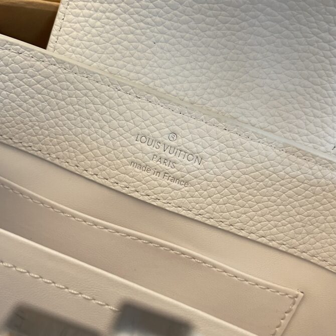 Louis Vuitton Capucine Handbag