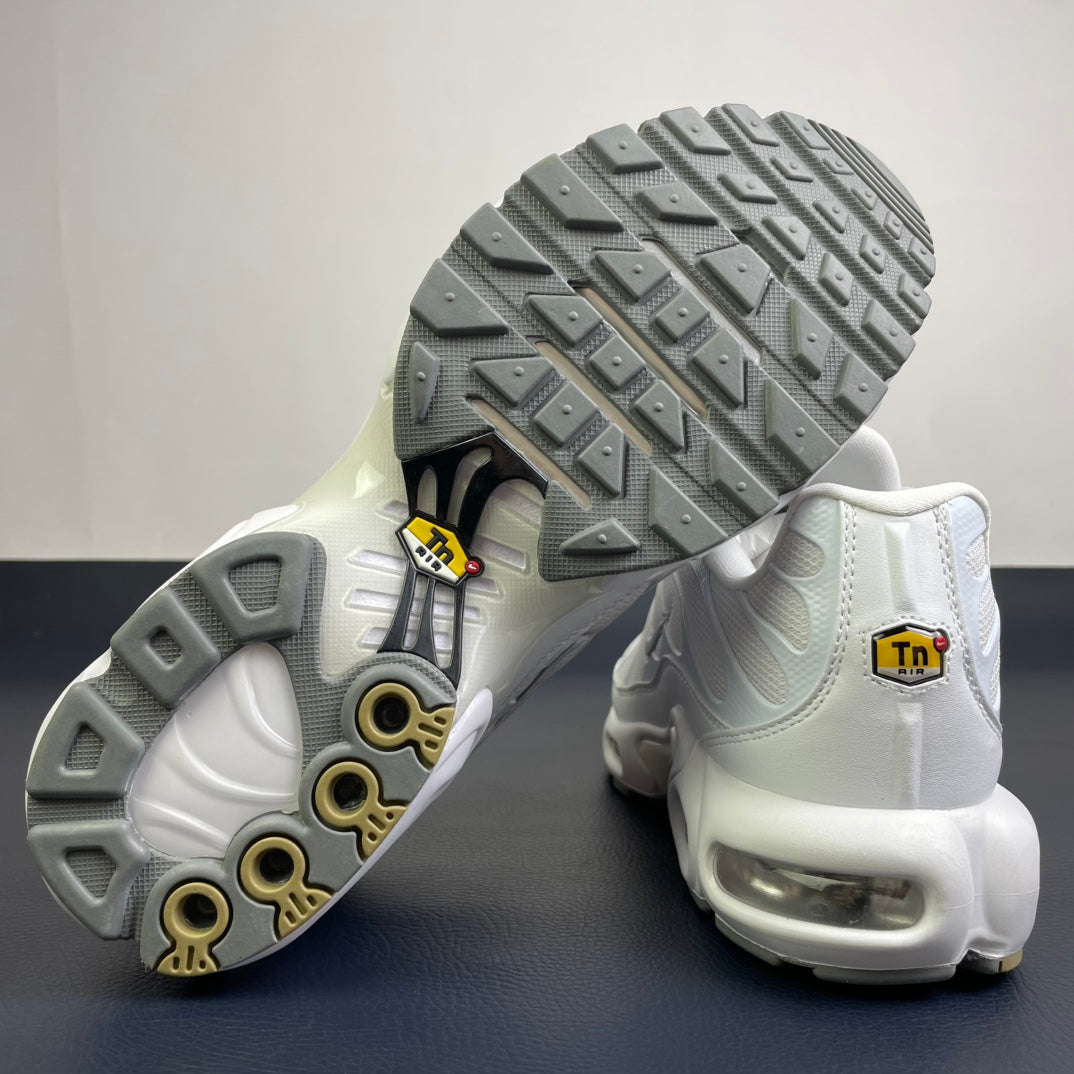 Nike Air Max Plus